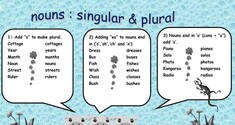 Singular and Plural Nouns